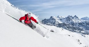 cursuri ski