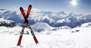 cursuri ski