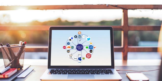Link Building SEO