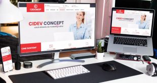 Web Design Brasov