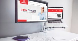 Agentie Web Design