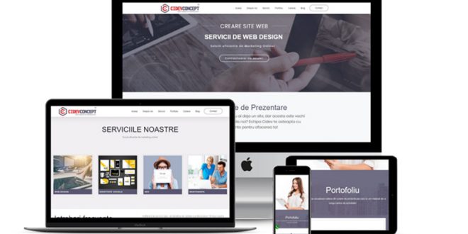 Site de prezentare profesional